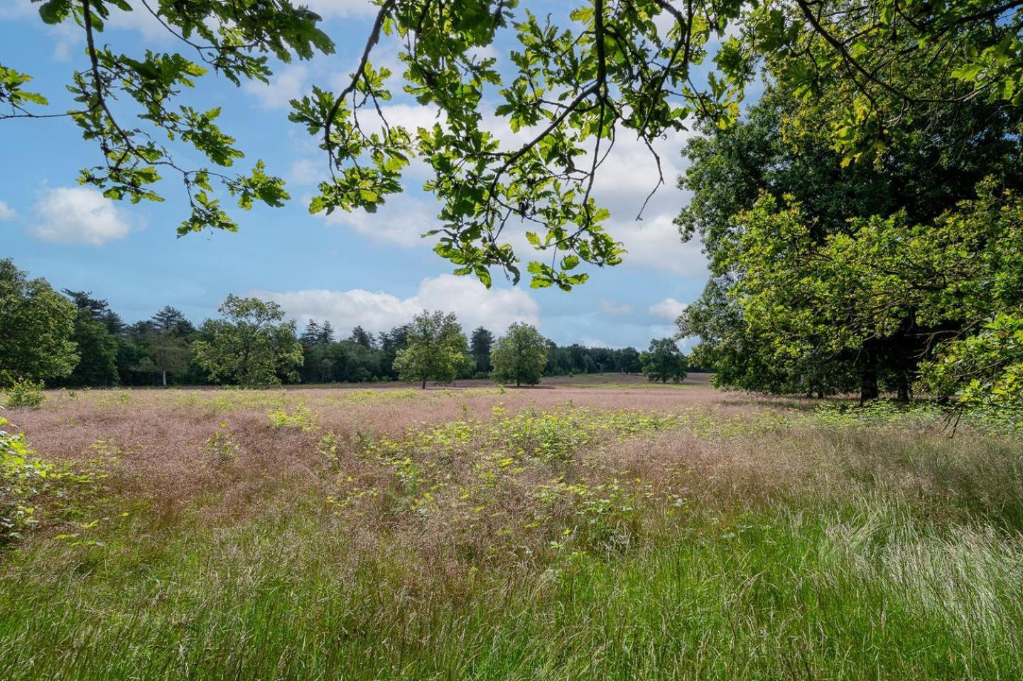 Landhuisje 31 'De Akkersteen' Bospark Ijsselheide Zwolle Hattemerbroek Екстериор снимка